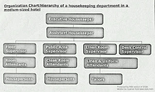 Housekeeping Department Organizational Chart