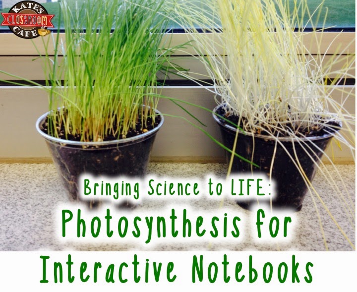 How much light does Tape grass need for photosynthesis? - PictureThis