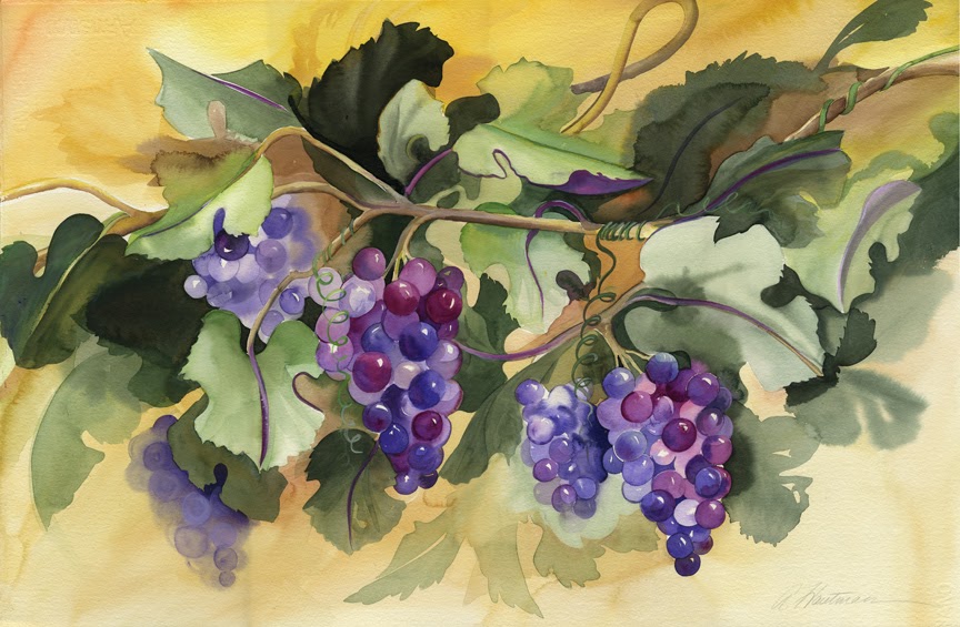 Amy Hautman Paintings Watercolor, Purple Grapes on the Vine