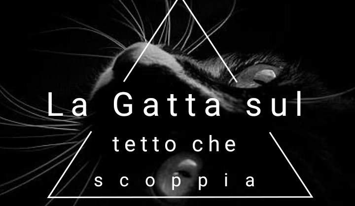 La Gatta sul tetto che scoppia