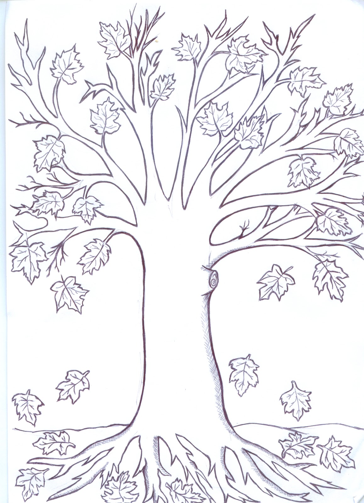 31+ Planse De Colorat Cu Frunze Toamna PNG
