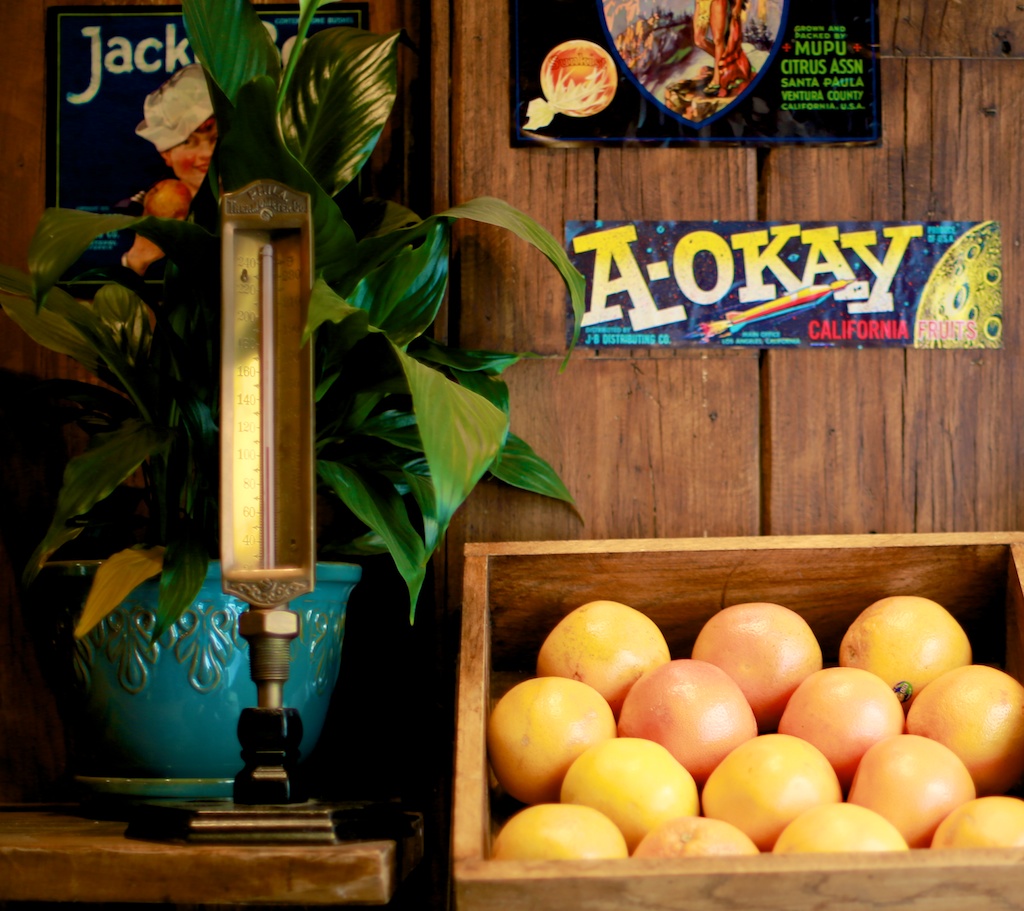 Little Luck Tree Downtown LA Part I Juice Crafters