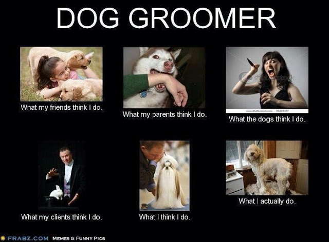 Dog Grooming Meme