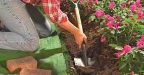The Best Garden Bed Edging Tips | A Collection of Photos