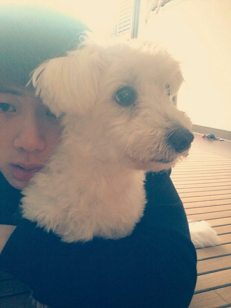BTSKSJIN : Jin Predebut