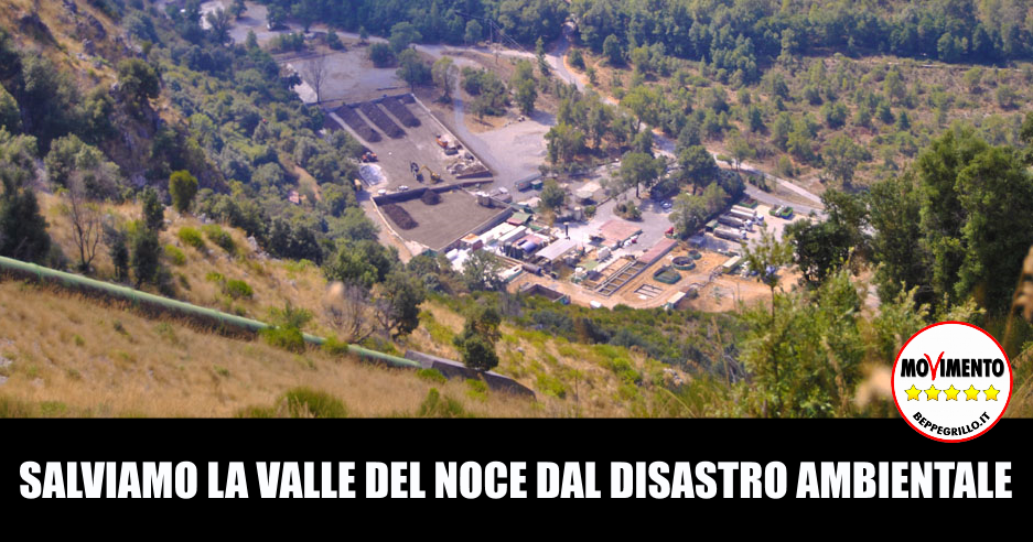 Piccolo pene. spessore del membro