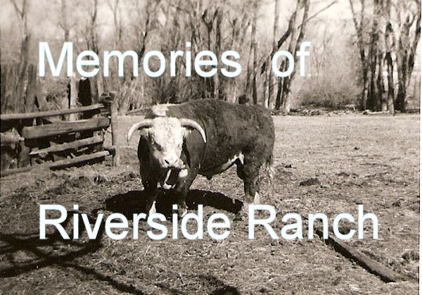 Memories of Riverside Ranch
