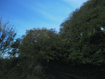 http://basajaum.blogspot.com.es/ castaños, monte serantes