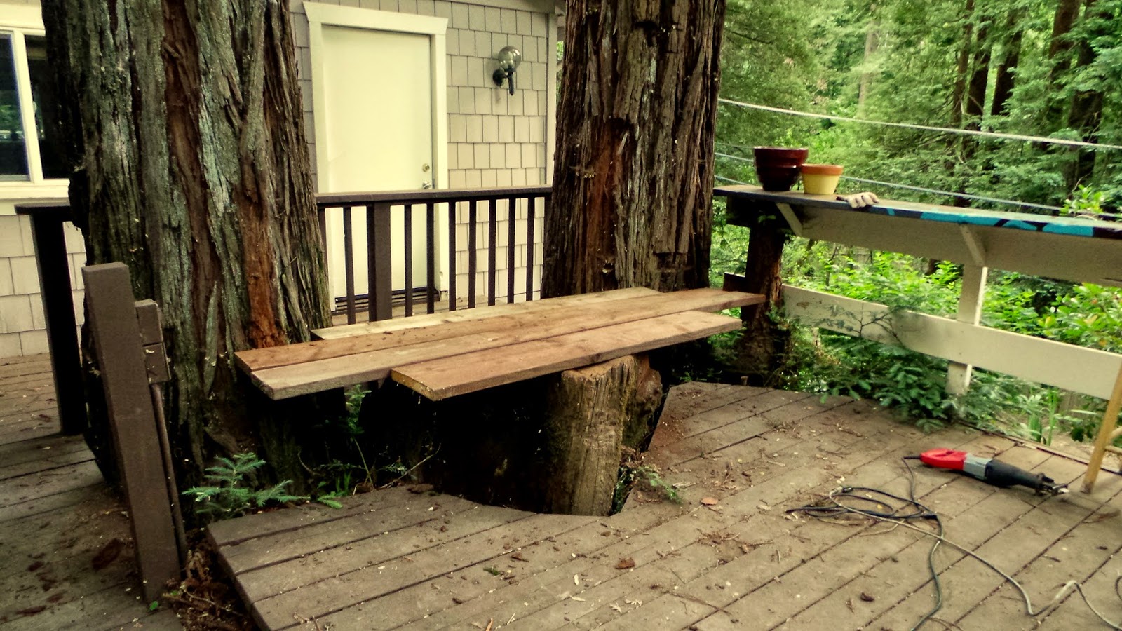 These wood screws are the best, they come with that little star bit. I