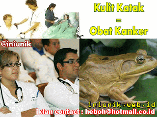 Kulit Katak Bisa Disulap Jadi Obat Kanker - www.iniunik.web.id