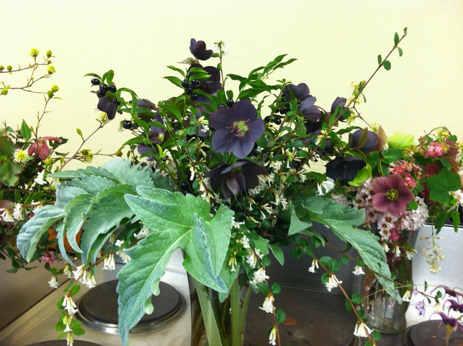 A Next Generation Gardener Winter Hellebores as cut flowers and how to