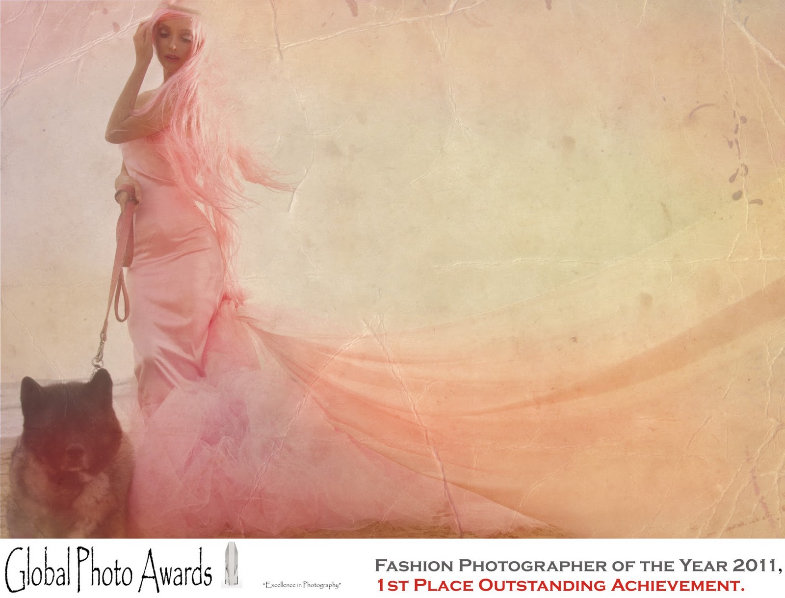http://4.bp.blogspot.com/-4NLWyU78kIU/TwiunLFDjgI/AAAAAAAABDc/NfatNwHzZJs/s1600/fashion+photographer+of+the+year+global+photo+awards.jpg