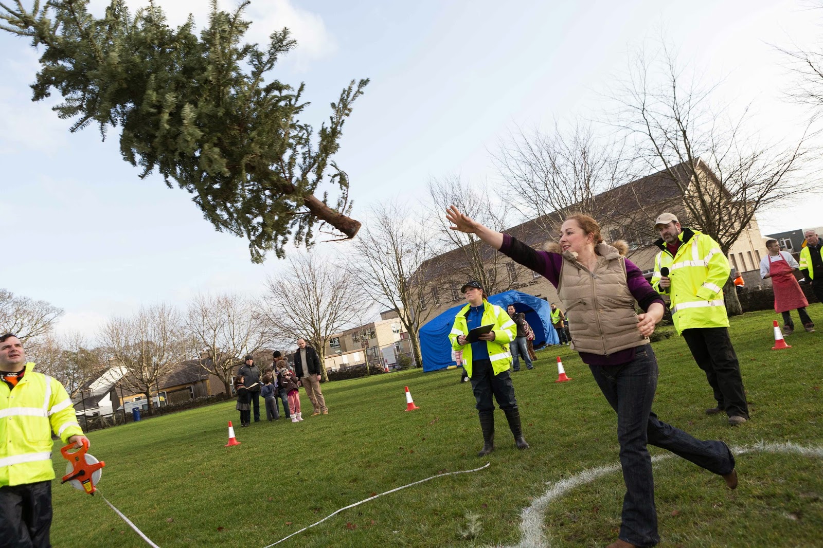 Irish Christmas Tree Throwing Championship announced Irish Christmas Tree Throwing Championship announced