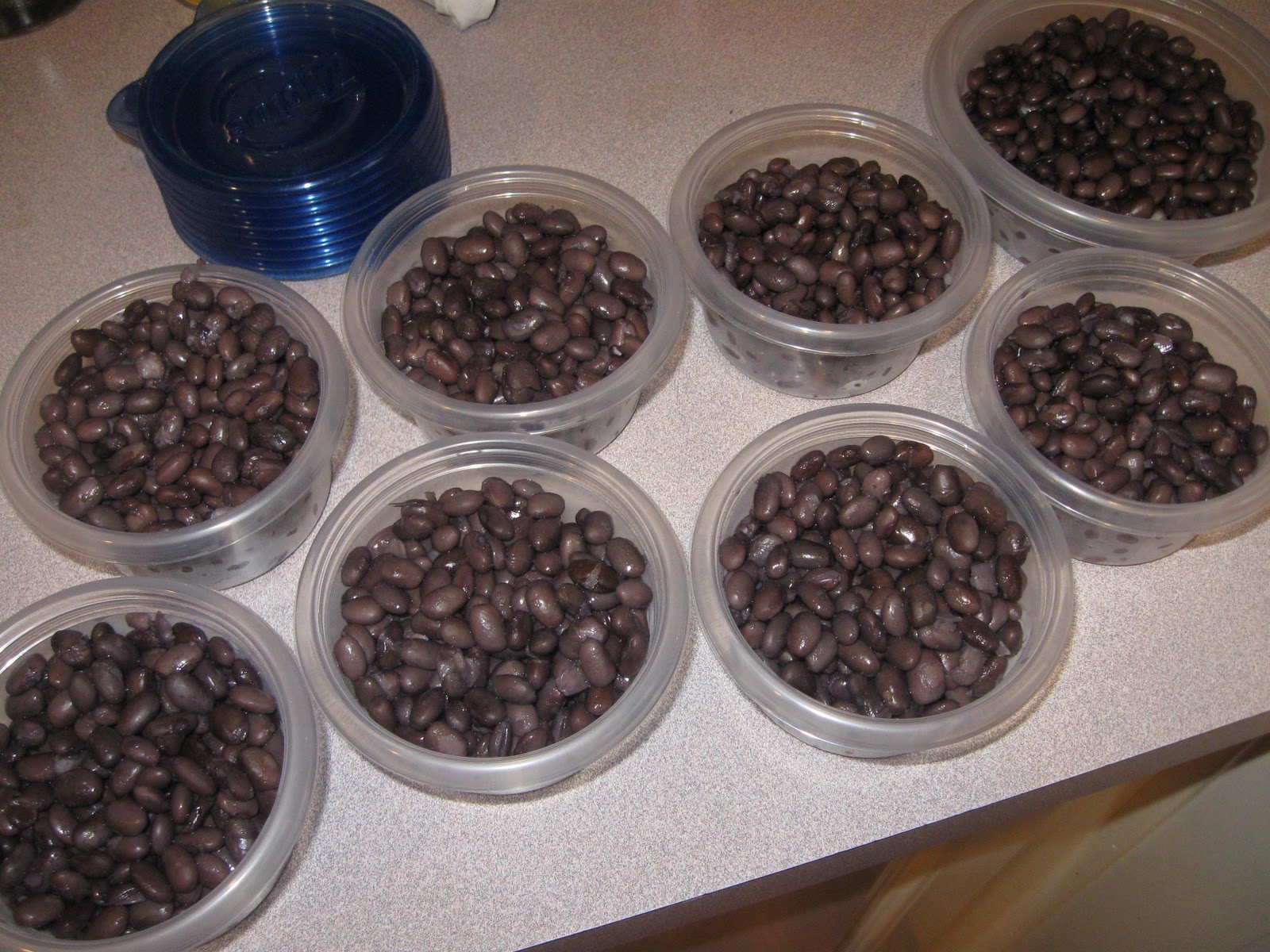 Sisters with Stuff Canned Beans vs. Dried Beans