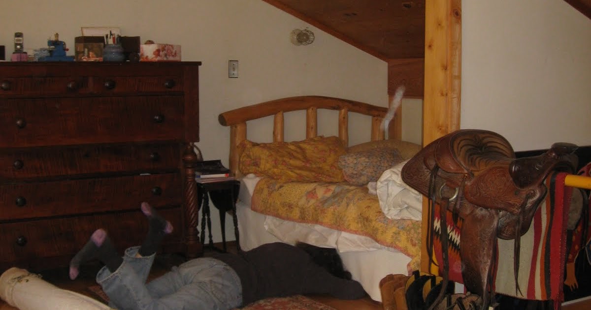 dutch quilt cat Beaver Island Quilt Retreat (3)