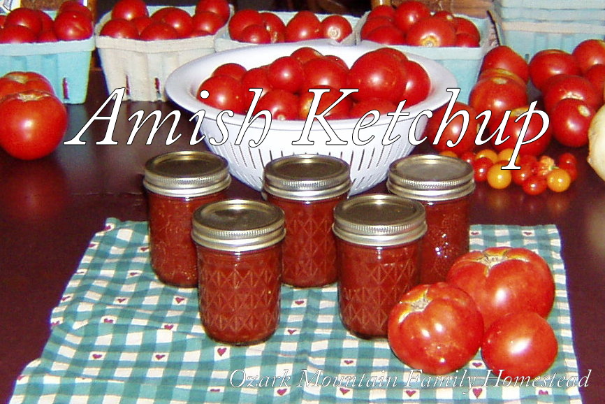 Ozark Mountain Family Homestead Amish Tomato Ketchup