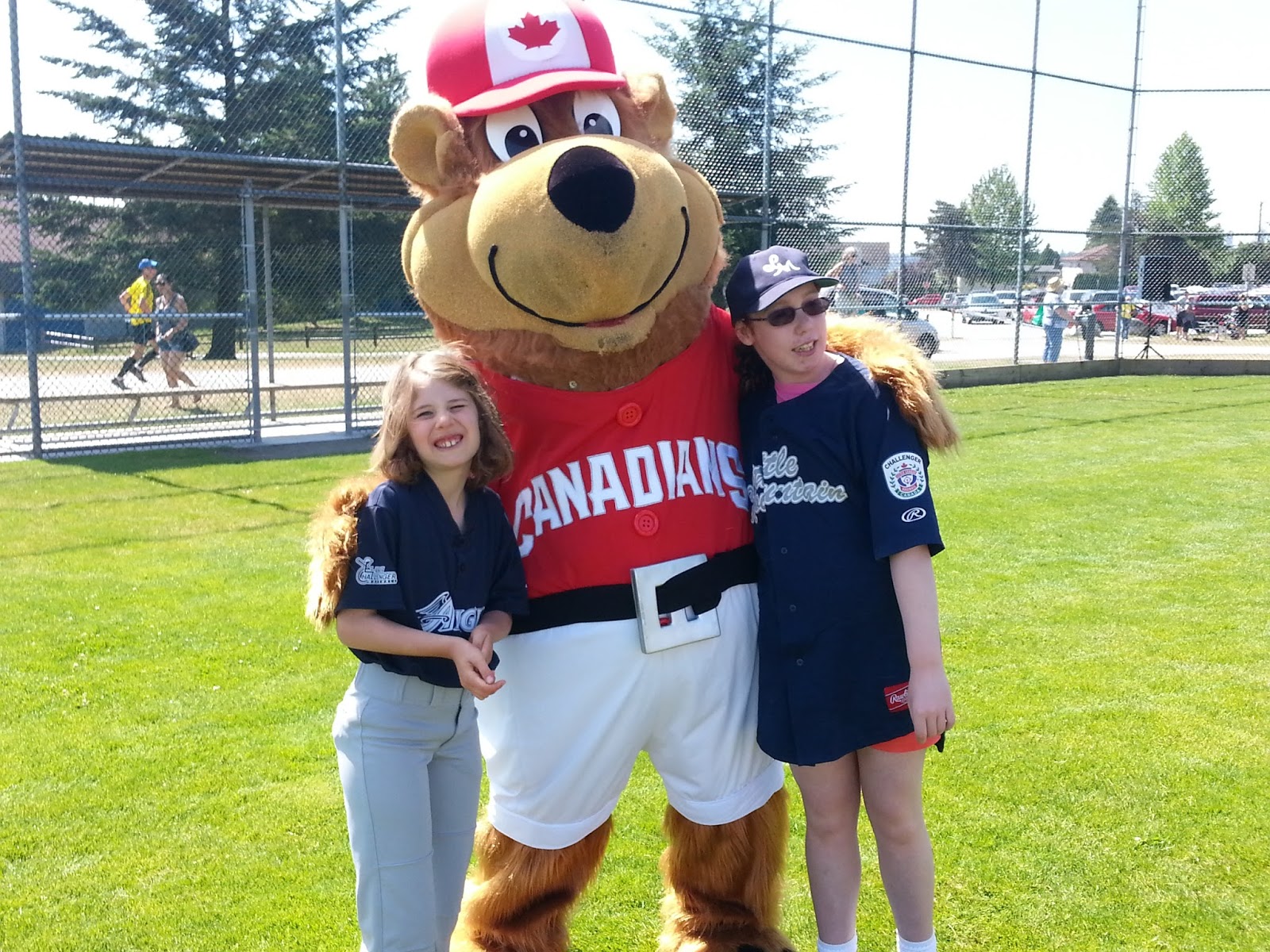 Update Challenger Baseball AMBA