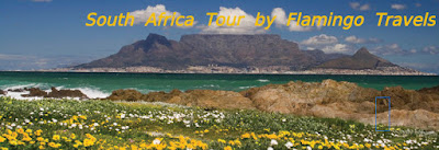 http://www.flamingotravels.co.in/international-tour-packages/africa/south-africa/single/south-africa-tour-packages.html
