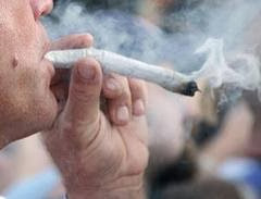 maconha contra disfunção erétil maconha e ereção