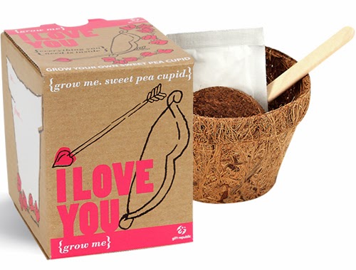 Earth to victoria: 22 adorable valentine's day gifts all under $40 earth to victoria: 22 Adorable Valentine's Day Gifts All Under $40