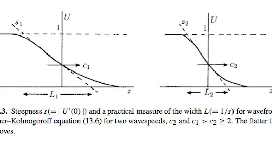 The slope of solutions to the Fisher equation