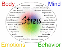The Problem Of Stress . What Is Stress ?