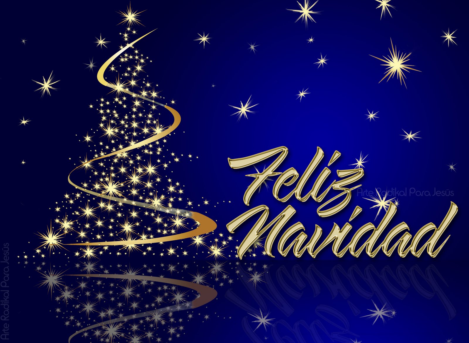 FOTOS: Así celebran la Navidad los animales del Buin Zoo - imagenes de animales de navidad