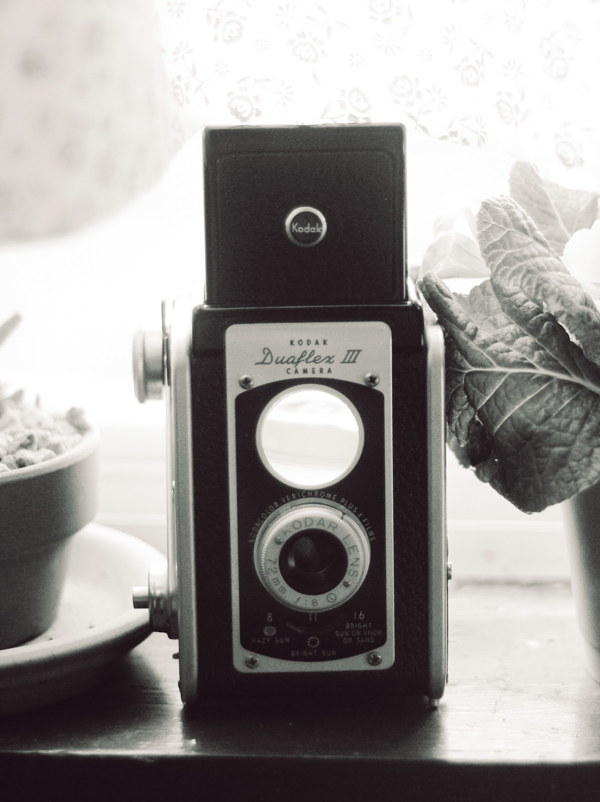 Ain't That The Berries DIY Photo Developer