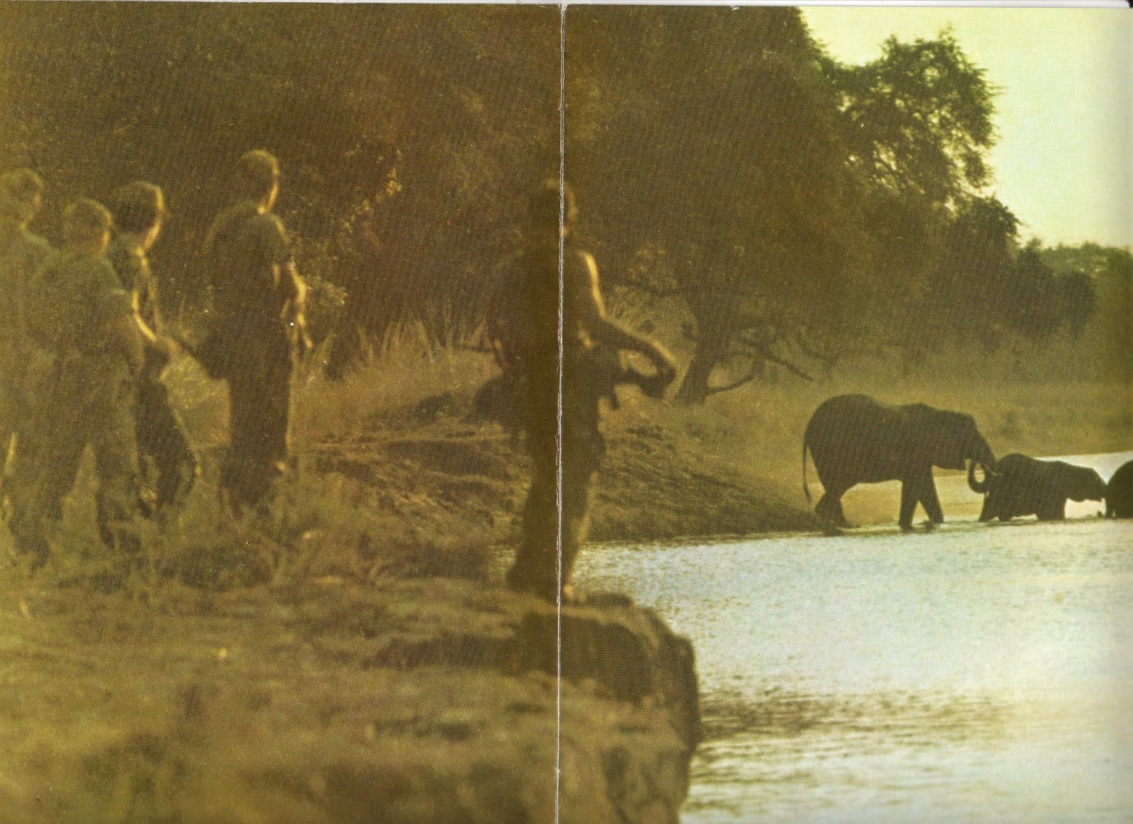 Citizen Alert ZA Bill Gates in Zimbabwe for Safari Tour Stay