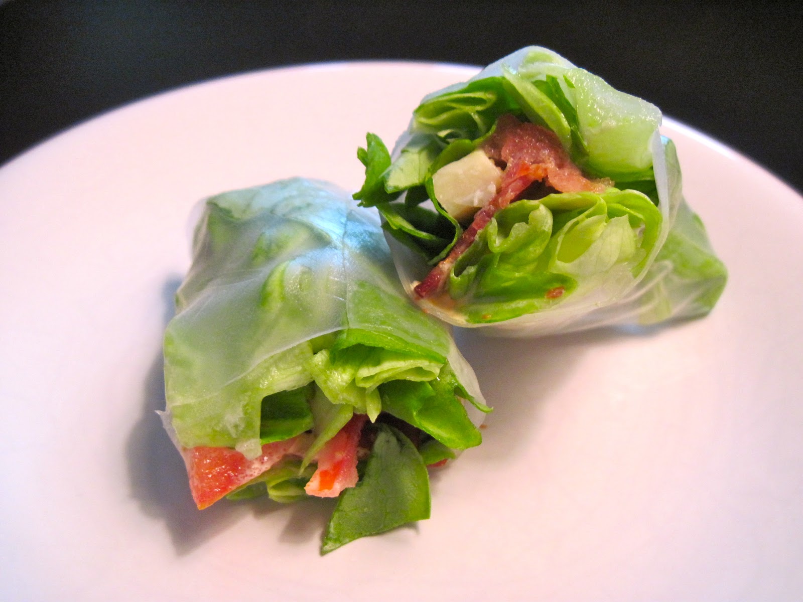 spring roll sandwich