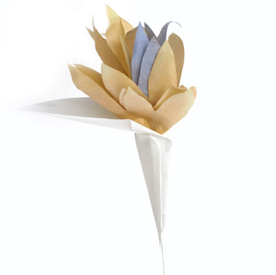 Paper Strelitzia Flowers