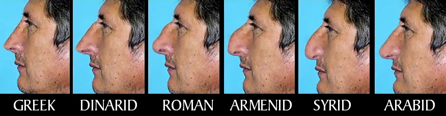 nose shapes nose shapes