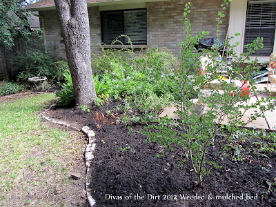 Divasofthedirt, weeded mulched bed