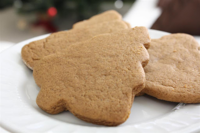 our daily obsessions: :: Past Christmas Projects