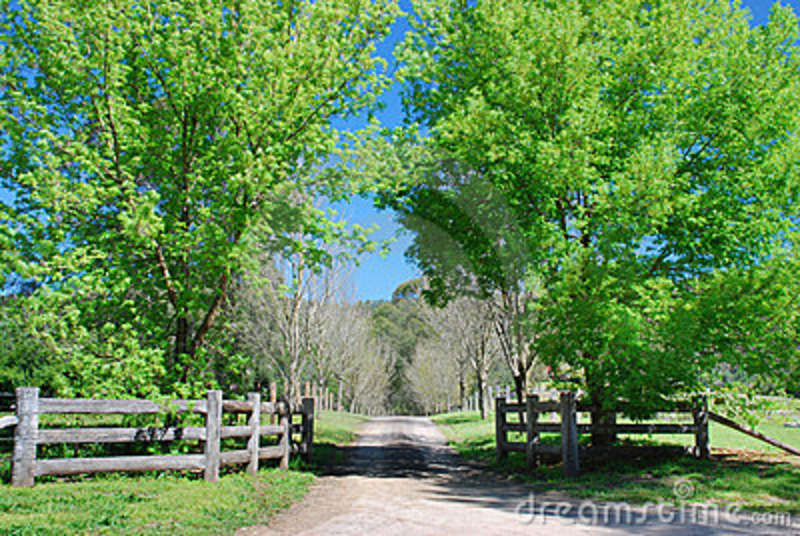 tree_lined_driveway Garden Notes Pinterest