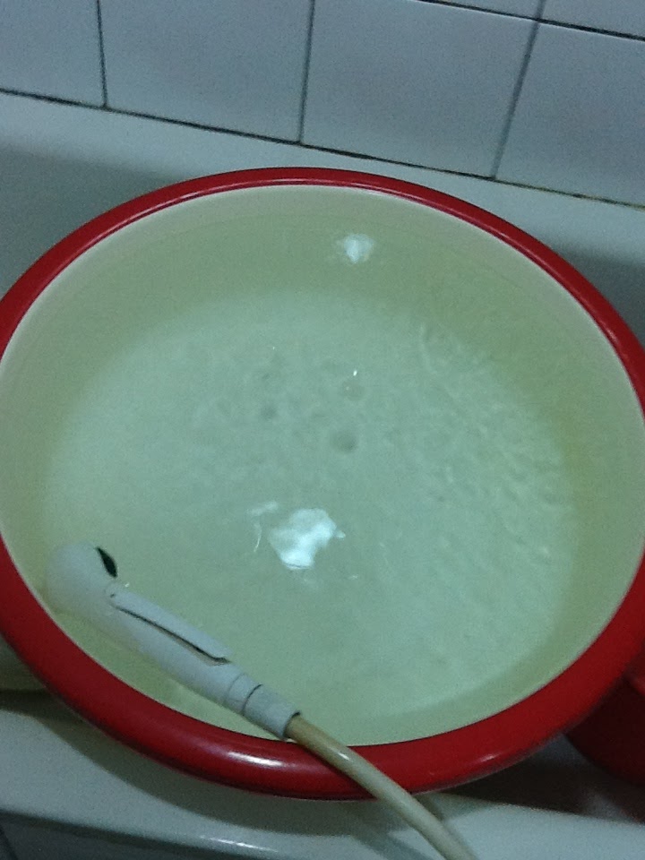 English II Do Bananas Float??