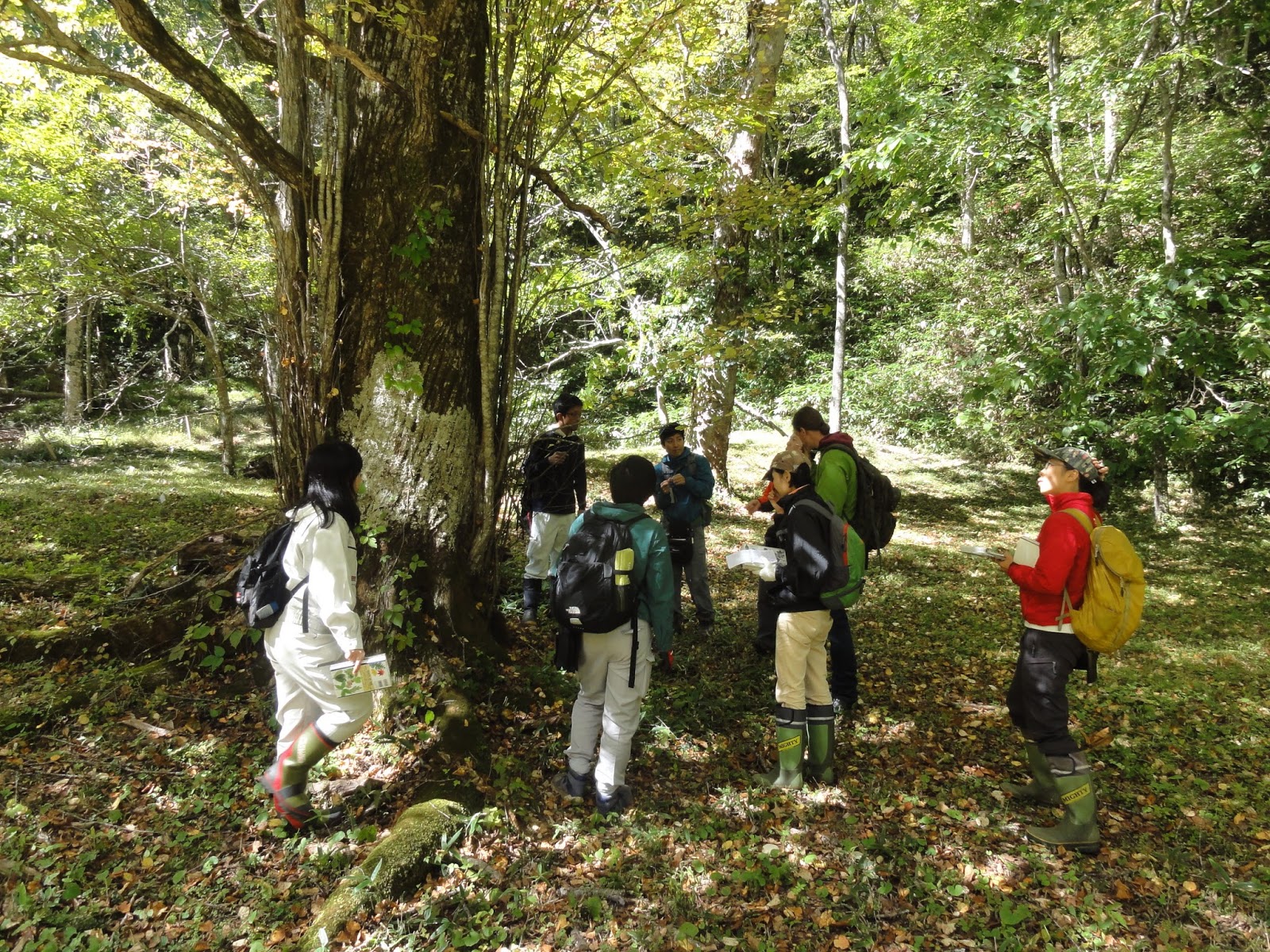岐阜県立森林文化アカデミーブログ 樹木学実習2回目はドイツからの研修生も参加