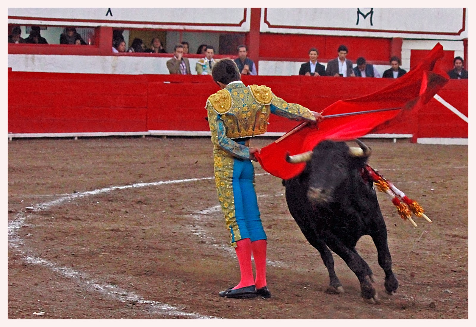 De Todo Un Poco: Toros