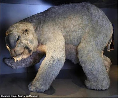史前巨獸 澳洲尋獲完整 雙門齒袋熊 遺骸