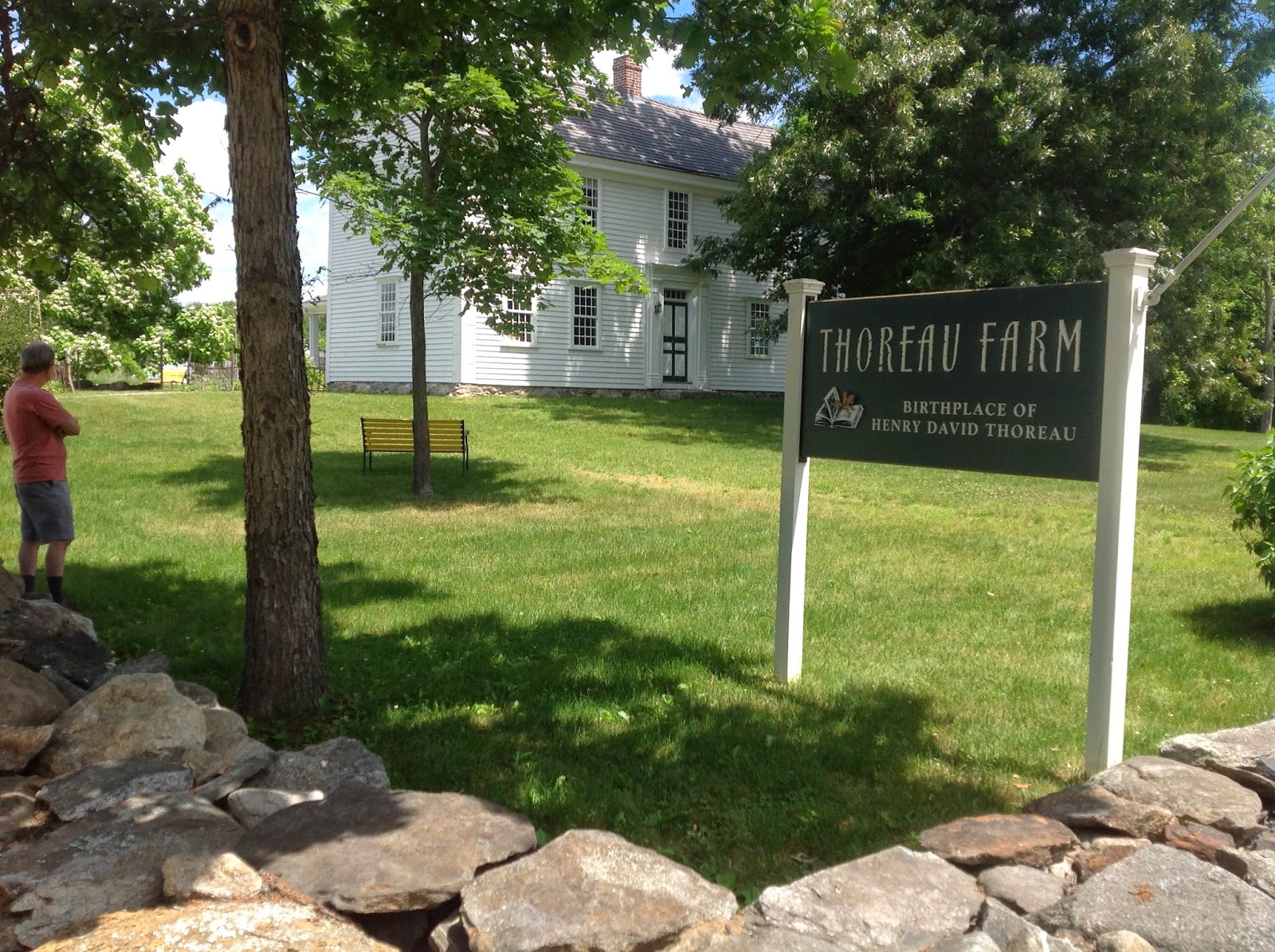 Life From The Roots Inside Henry David Thoreau's House