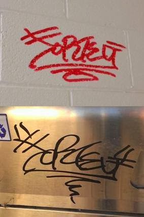 Https Encrypted Tbn0 Gstatic Com Images Q Tbn 3aand9gcspcly0xxigpmlb7femmeashdi78rjsls8jiw Usqp Cau