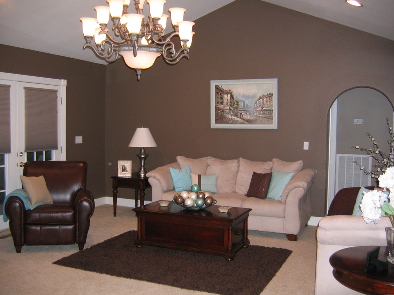 LIVING ROOM FURNITURE: Room Color Schemes