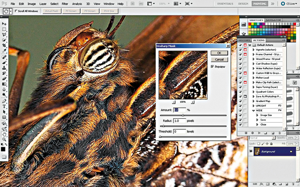 How to set your autofocus for macro photography How to set your autofocus for macro photography