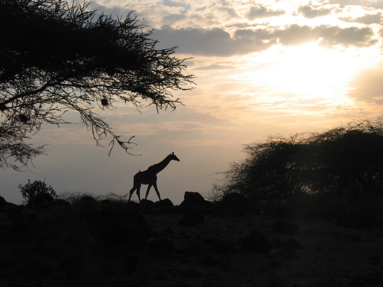 Apartment for Rent in Mtwapa, Kenya Safaris from Mtwapa, Kenya