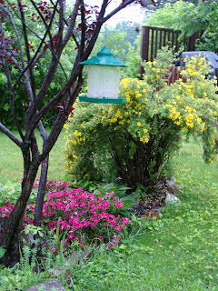 Journaling With Paint: Why Gardens?....