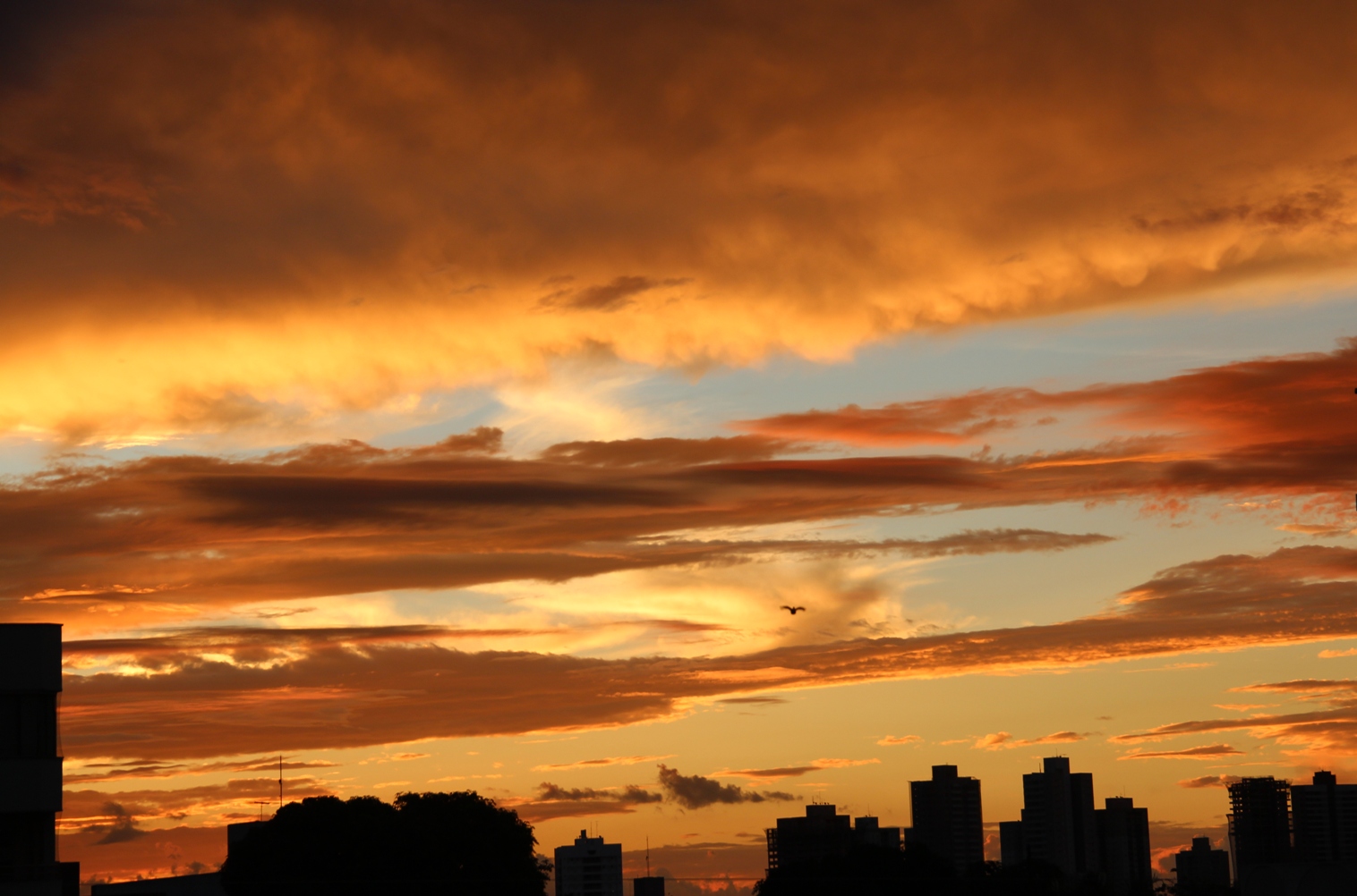 Caliandra do Cerrado: Por do sol do Cerrado - Goiânia
