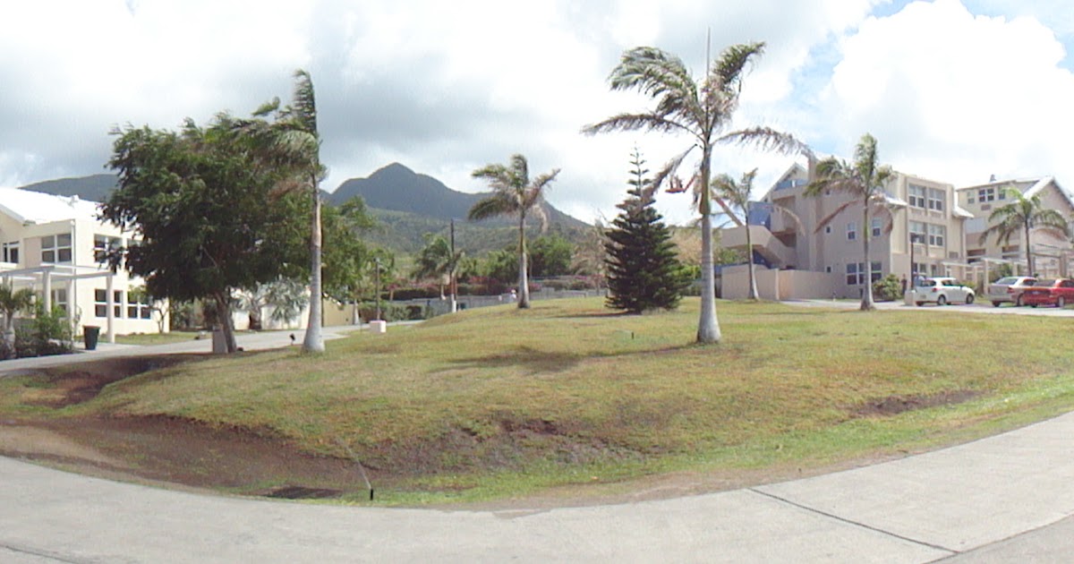 Pursuing my dream at Ross University's School of Veterinary Medicine