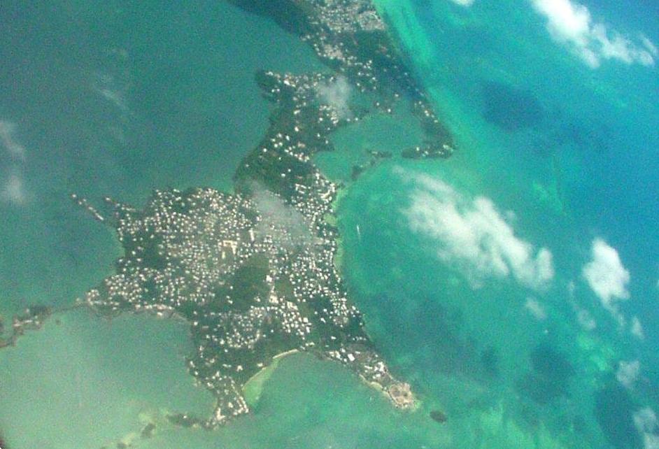 Bermuda Triangle Creatures