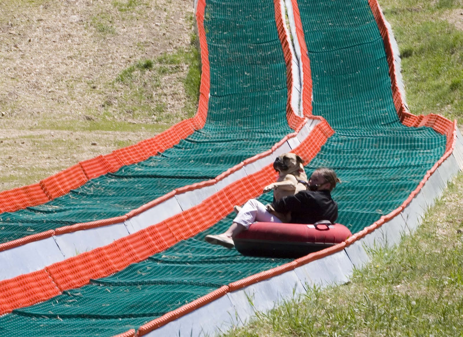 Travelin' Jack's Dog Blog SUMMER TUBING.....FOR DOGS OR NOT FOR DOGS