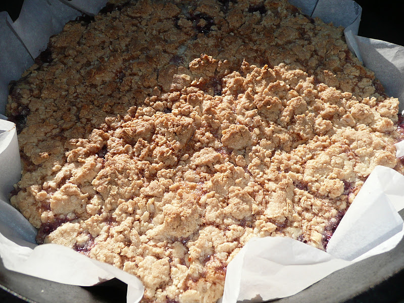 Everyday Dutch Oven Easy Raspberry Bars